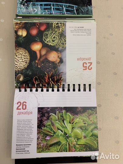 Календарь. Лучшие сады парки мира