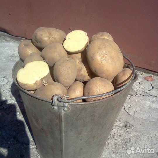 Продукты питания