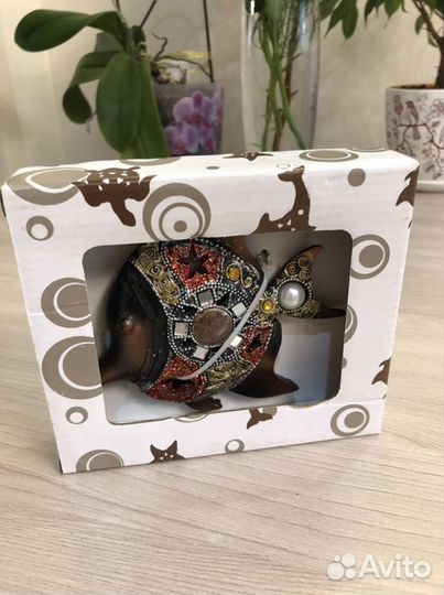 Рыбка декоративная