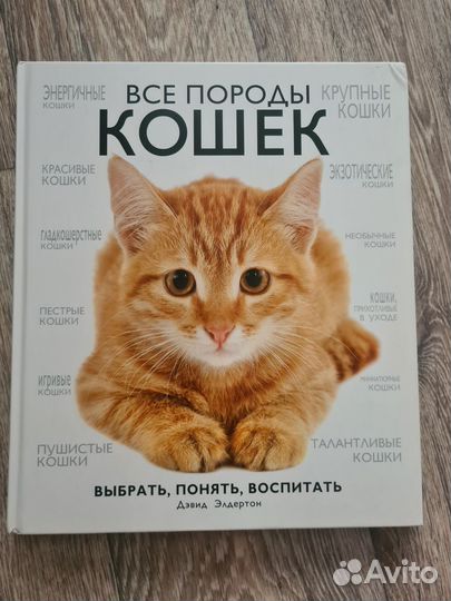 Все породы кошек книга