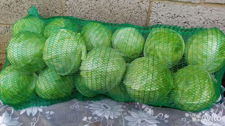 Капуста оптом