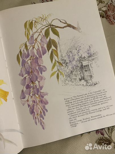 Винтажная книга England is a garden на английском