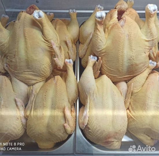 Курица Оптом