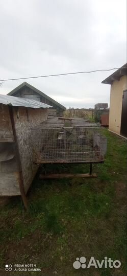 Клетка для кролика