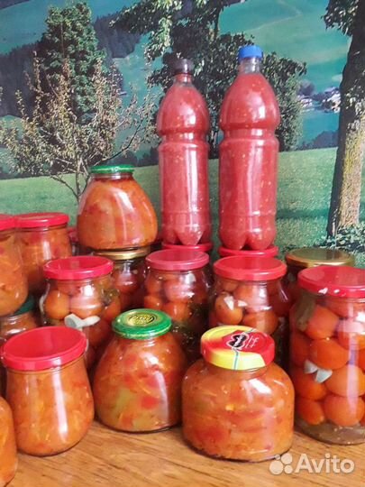 Помидоры и огурцы соленые, лечо, аджика, горлодер