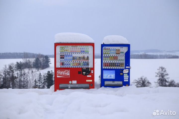 Вендинговый бизнес по продаже тауриновых лимонадов