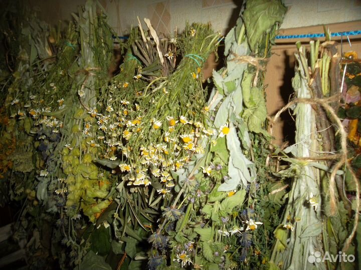 Целебные травы Крыма, корни, сборы, чаи и др