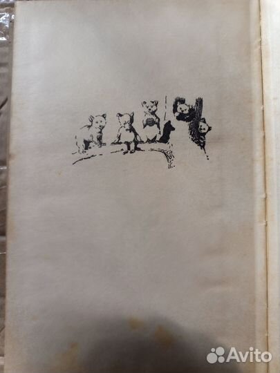 Сетон Томпсон 