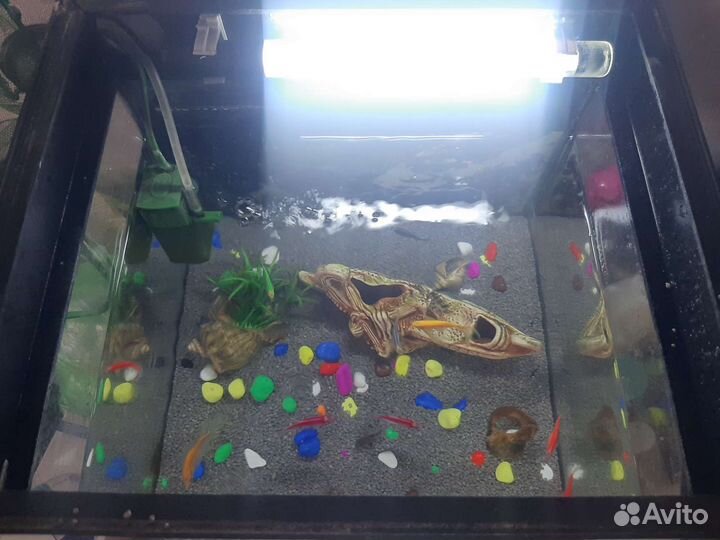 Аквариум