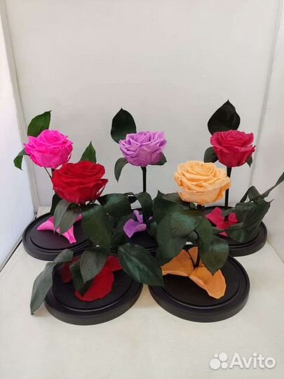 Роза в колбе опт и розница