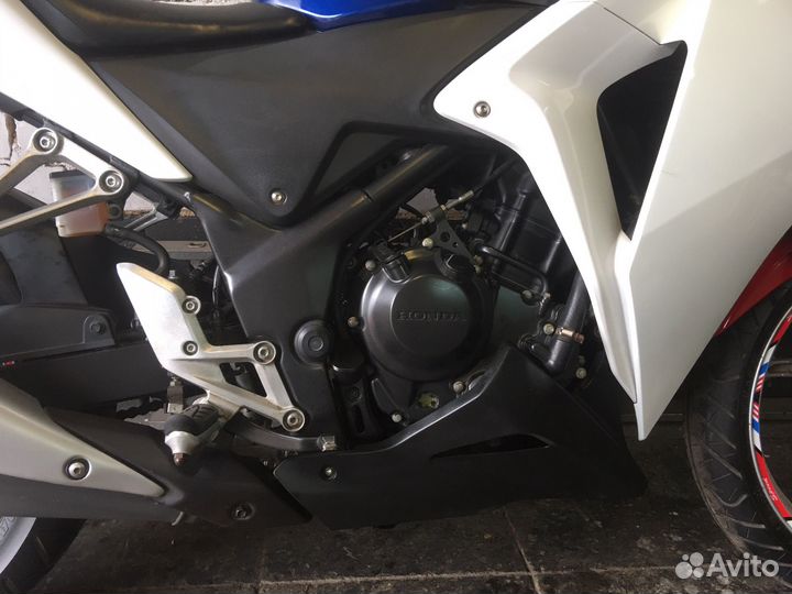 Honda cbr250r