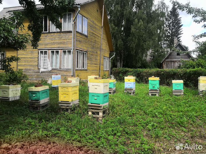 Ульи для пчел бу