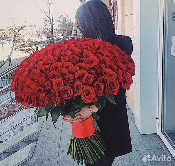 Розы 25 штук 51 штук 101 штука