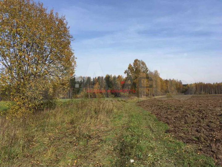Участок 2,5 га (личное подсобное хозяйство (лпх))