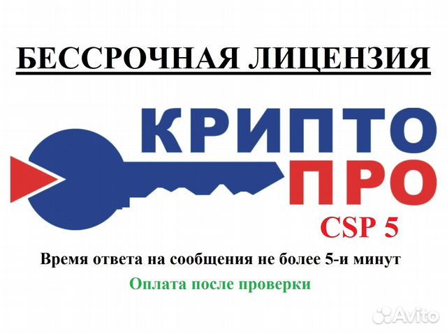 Лицензия криптопро 5.0.12998 бессрочная купить в Санкт-Петербурге ...