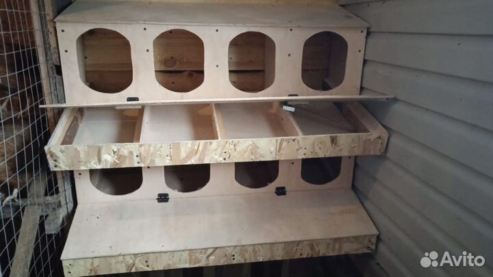 Гнездо для кур с яйцесборником