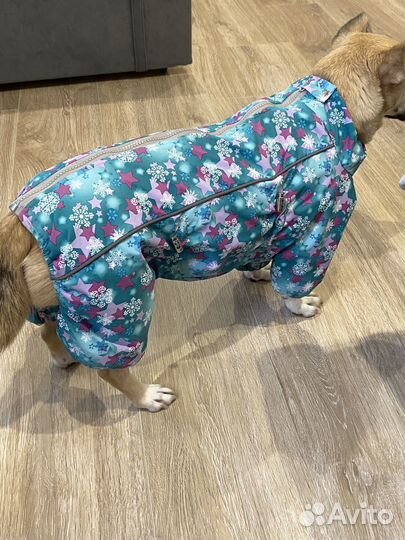 Зимняя одежда для собак