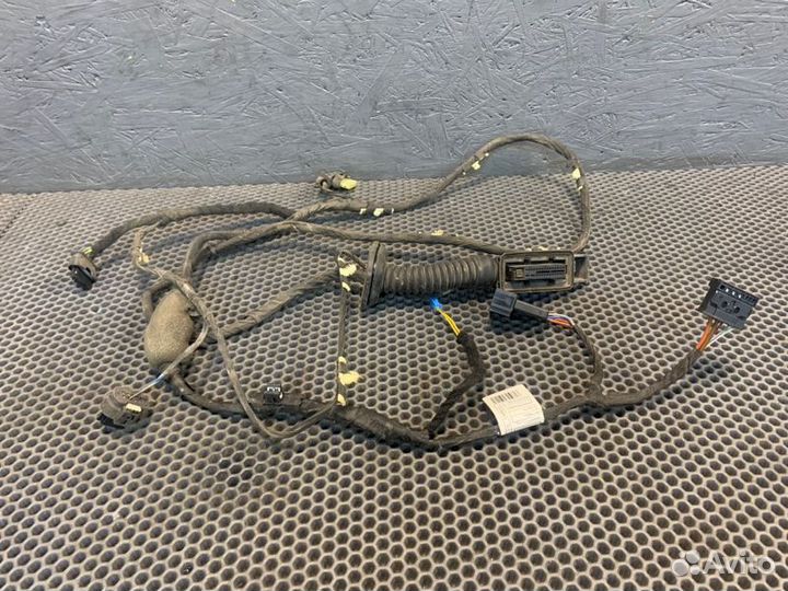 Проводка двери задняя левая Bmw X7 G07 M-pack