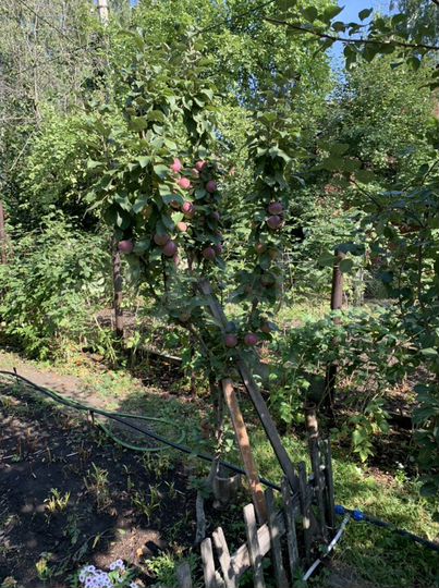 Дача 70 м² на участке 4,8 сот.