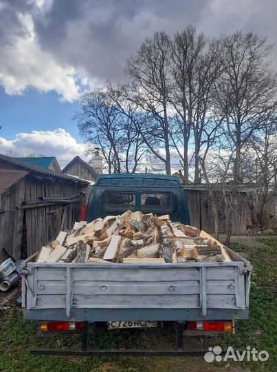 Дрова березовые колотые наличие