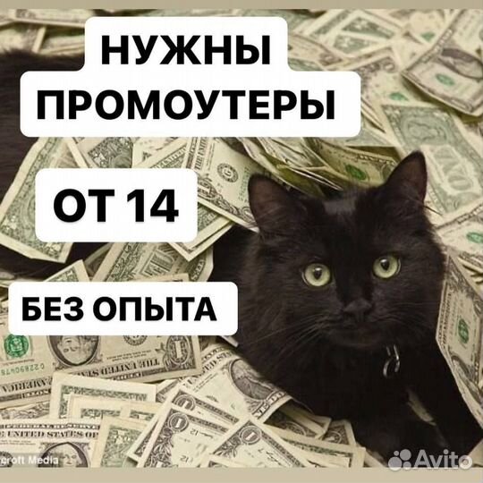 Подработка Промоутер