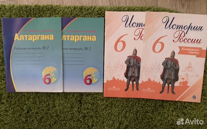 Рабочие тетради 6класс
