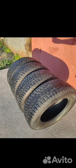 Gislaved Nord Frost 200 205/65 R15