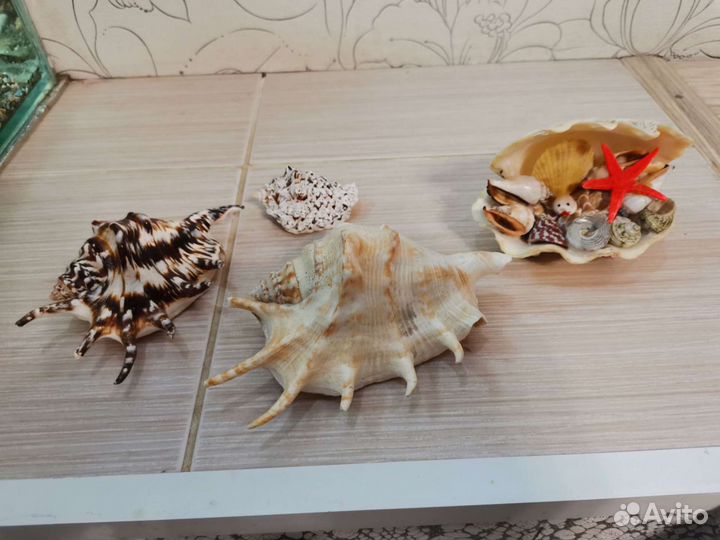 Продам для аквариума украшения