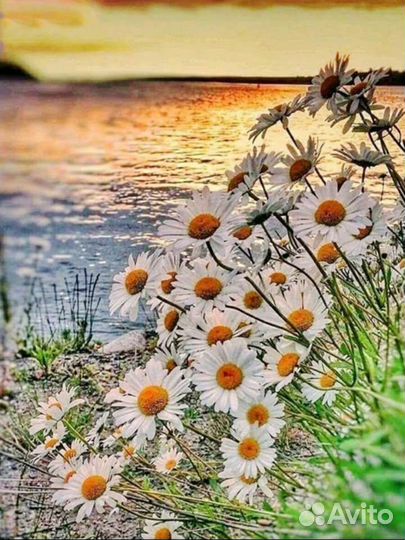 Алмазная мозаика новая