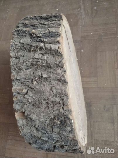 Спил из дуба