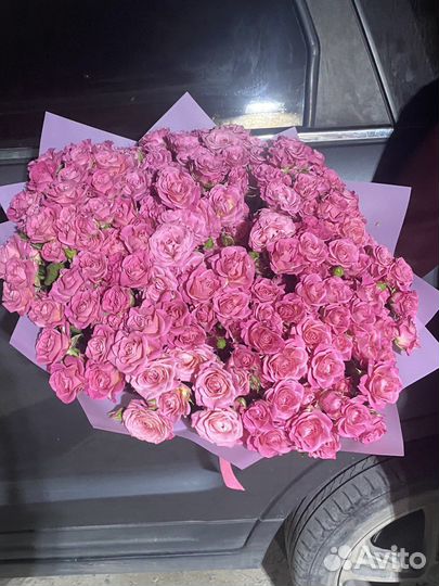 Веточная Роза 25 веток