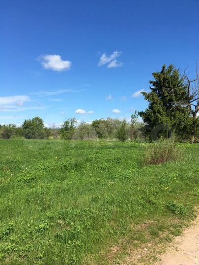 Участок 31 сот. (ИЖС)