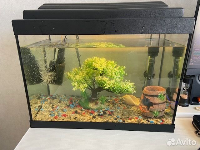 Продается аквариум