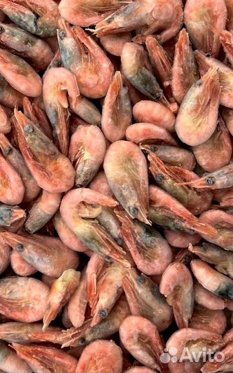 Оптом Креветки