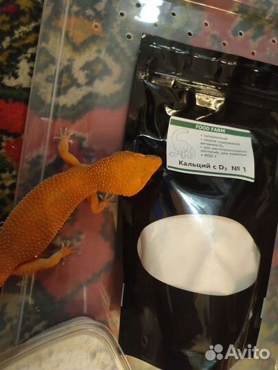 Прикормка для рептилий