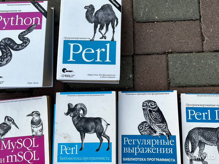 Программирование книги