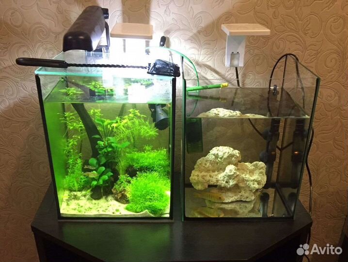 Аквариумы и необходимое оборудование