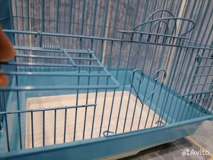 Клетка