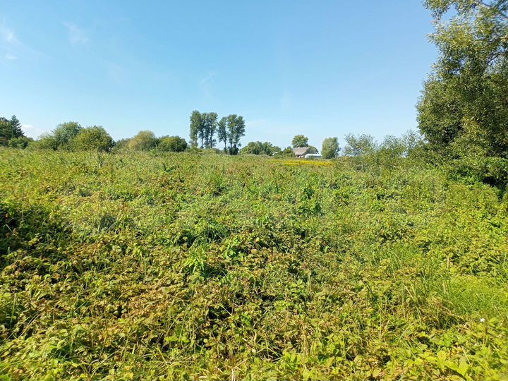 Участок 12 га (СНТ, ДНП)