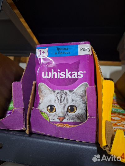 Влажный корм для кошек