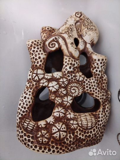 Коралл балянус