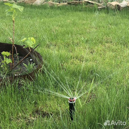 Системы автоматического полива