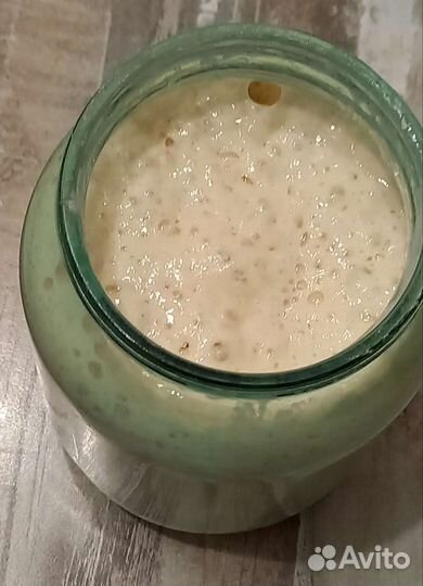 Пшеничная закваска 100 влажности