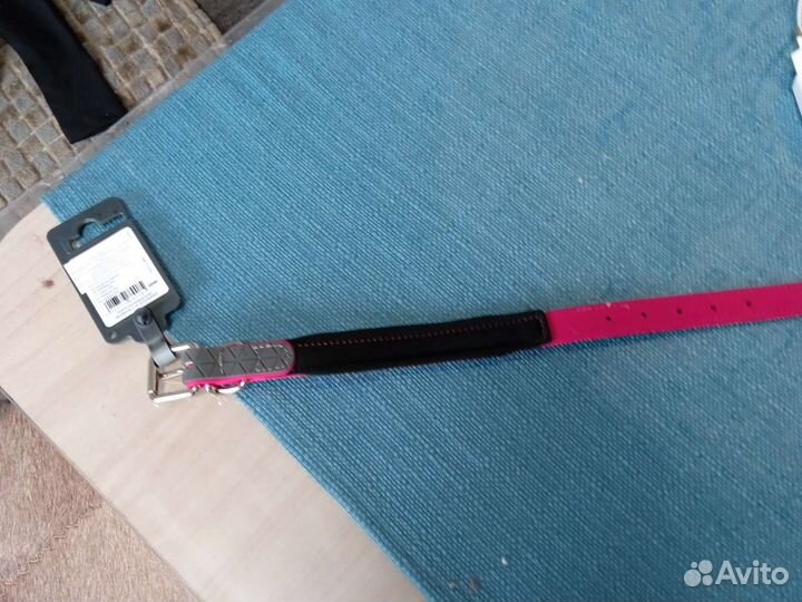 Ошейник для собак