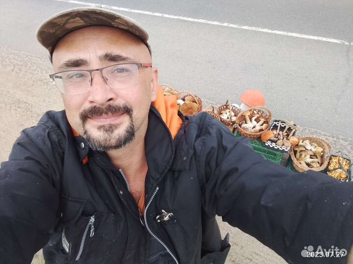 Грибы сушеные, белые, подосиновики, опята, лисички