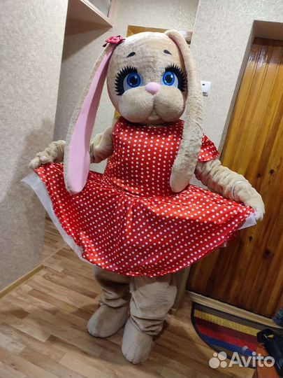 Аниматор