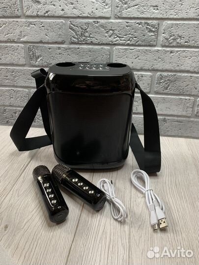 Портативная караоке система