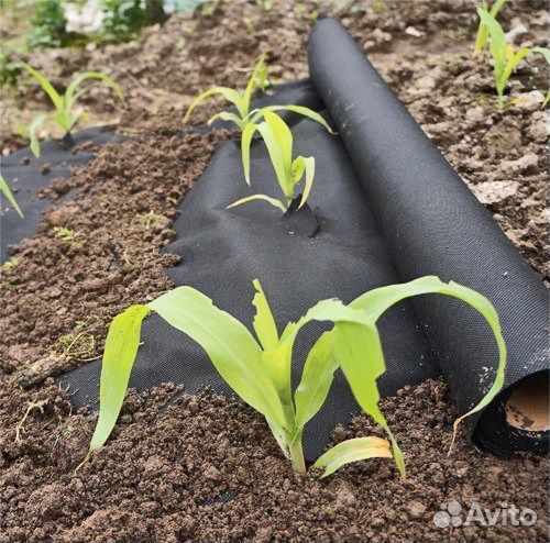Агроспан черный Мульча