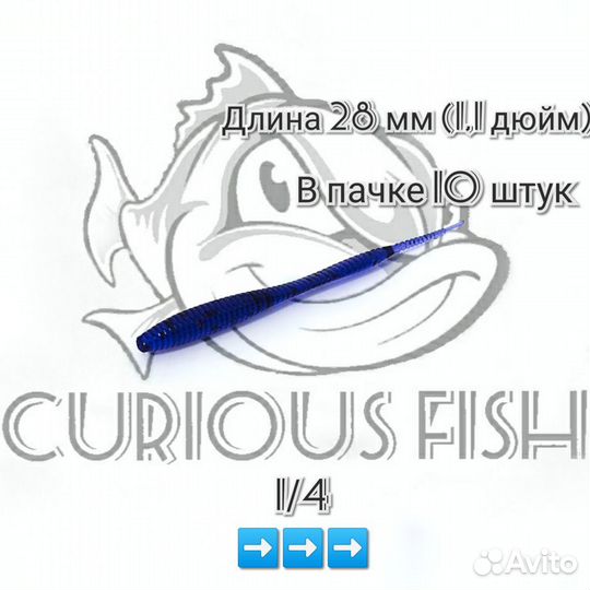 Curious fish Sexi Waist 1,1 дюйм