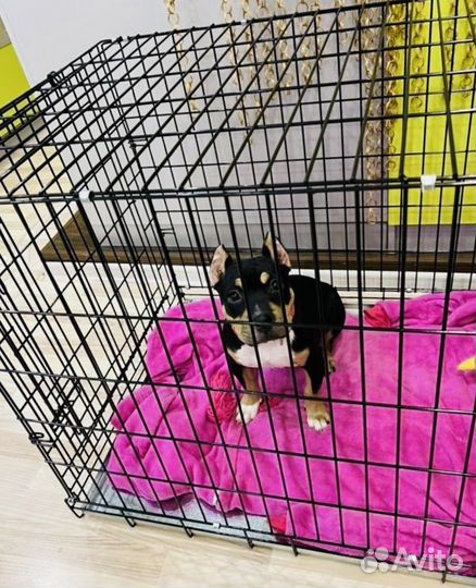 Клетка для животных